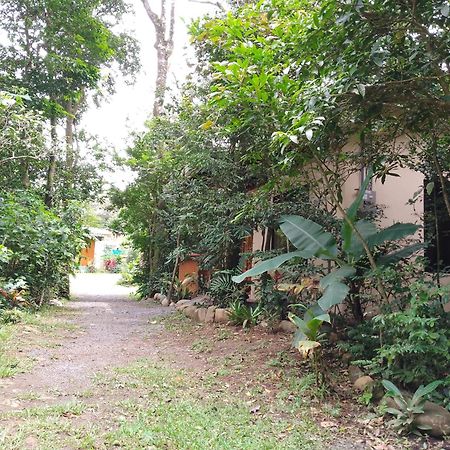 Casitas Del Bosque Monteverde. Room photo